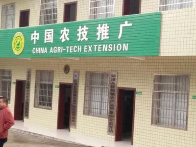 農業技術推廣總站與農業綜合執法大隊 選擇哪個更適合您？