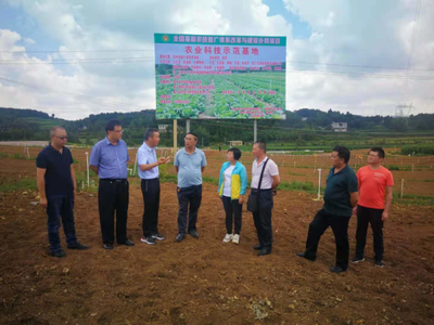 省農(nóng)業(yè)科技發(fā)展中心主任潘爾珣深入畢節(jié)調(diào)研，指導(dǎo)基層農(nóng)技推廣補(bǔ)助項(xiàng)目建設(shè)工作